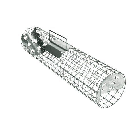 Piège à martres pour gouttières